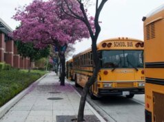 Califórnia coloca US$ 5 bilhões em risco devido ao esquema de gênero nas escolas