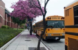 Califórnia coloca US$ 5 bilhões em risco devido ao esquema de gênero nas escolas