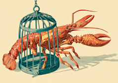 O Google reprime o ‘uso malicioso’ do Antigravity, isolando usuários do OpenClaw em um movimento abrangente de aplicação dos ToS