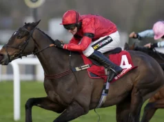 Arkle acena para o vencedor do Pendil, Jax Junior