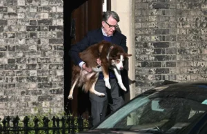 O desgraçado Peter Mandelson aparece pela primeira vez desde as novas revelações de Epstein