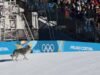 Jogos Olímpicos: um chien s’invite à la fête au fil d’arrivée d’une épreuve de ski de fond