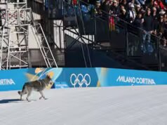Jogos Olímpicos: um chien s’invite à la fête au fil d’arrivée d’une épreuve de ski de fond