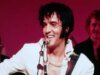 Humanizando Elvis