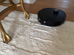 Qual é o melhor aspirador robô para pêlos de animais de estimação? Após os testes, meus gatos e eu escolhemos quatro opções principais para 2026 até agora.