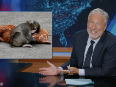 Jon Stewart faz um discurso brutal de 3 minutos sobre Punch the Monkey