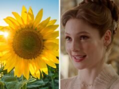 Escolha algumas flores e eu direi qual irmão Bridgerton seria seu melhor amigo