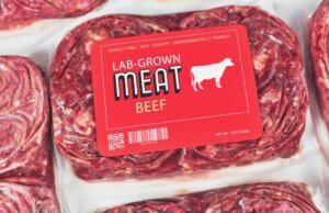 Comida do Futuro? Eu vou passar