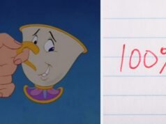 Você consegue nomear esses icônicos ajudantes da Disney em um minuto?