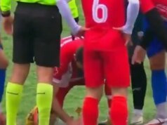 «Héros des animaux»: o jogador de futebol que faz uma massagem cardíaca em um clima de Goélândia