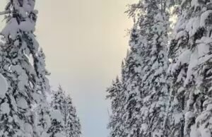 Viva a aventura em quadriciclo na região Norte de Quebec