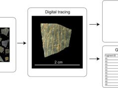 Humanos desenharam padrões geométricos estranhamente precisos em ovos de avestruz há 60 mil anos