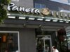 Violação de dados da Panera Bread expõe 5,1 milhões de clientes