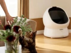 Como Petlibro está usando IA para detectar problemas de saúde felinos precocemente