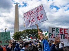 Você acreditaria que os democratas não eram suficientemente anti-Israel em 2024?