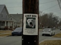 O próximo trabalho da sua campainha pode não ser encontrar animais de estimação perdidos
