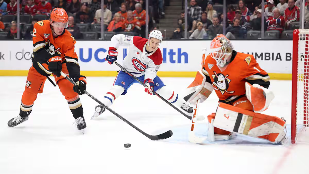 Pourquoi les Ducks são mais próximos do cupê que o Canadien