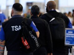 Elon Musk afirma que ‘gostaria de se oferecer’ para pagar os salários dos trabalhadores da TSA