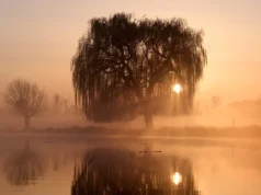Met Office alerta que ventos fortes atingirão o Reino Unido com o retorno da onda de frio
