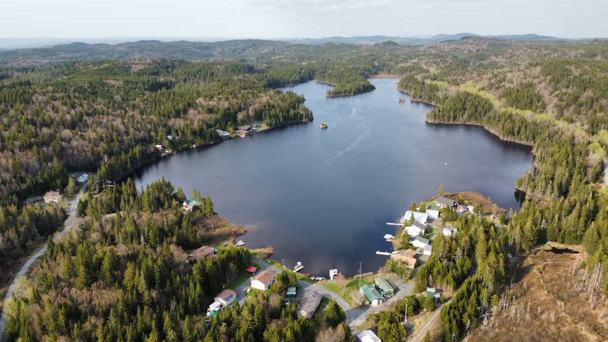 Os últimos lagos selvagens de Zec Jaro ameaçados pelos golpes florestais