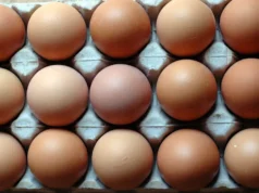 Cal-Maine Foods, Inc. (CALM) é um bom estoque para comprar?