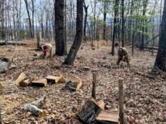 Reduzindo a divisão vermelho-azul, uma ação concreta de cada vez