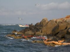 Derramamento de óleo prejudica meios de subsistência no estado mexicano de Veracruz