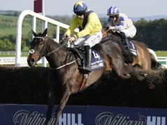 Marine Nationale pronta para iniciar a preparação de Punchestown