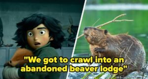 Os criadores de "Funis" Revele fatos dos bastidores sobre como fazer o novo filme da Pixar