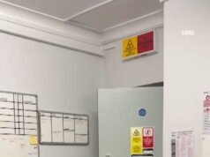 Gato desaparecido há 12 anos, dono ‘claramente conhecido’ durante sua reunião, apesar de ter passado uma década como um vira-lata