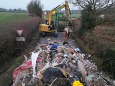 Autoridades poderiam ganhar poderes de estilo policial para lidar com despejos de moscas