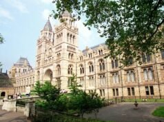 Descendentes de heróis da resistência do Zimbábue pedem ao Reino Unido que localize crânios saqueados