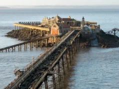 Madeira do cais histórico será reciclada em móveis