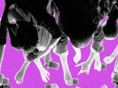 Por que o discurso do Fandom parece ainda mais constrangedor agora