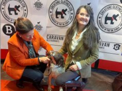 Fido Awards: British Indie ‘Dragonfly’ é o melhor da exibição no Oscar Canino