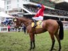 Envoi Allen morre momentos após a última corrida na Cheltenham Gold Cup