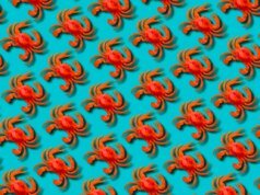 Meta adquiriu Moltbook, a rede social de agentes de IA que se tornou viral por causa de postagens falsas