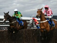 Cheltenham Festival 2026: dicas de apostas para o dia 2, cartão de corrida e probabilidades mais recentes