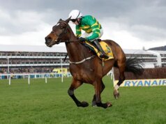 Fact To File excluiu Ryanair Chase no Festival de Cheltenham