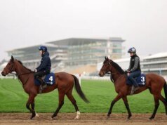 Cheltenham Festival 2026: dicas de apostas para o primeiro dia, cartão de corrida e probabilidades mais recentes