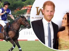 Príncipe Harry e Meghan Markle produzindo drama de polo em obras na Netflix de Francisca X. Hu e Fake Empire