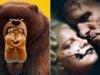 ‘Hoppers’ terá estreia mundial de US $ 88 milhões, o melhor para a Pixar desde ‘Coco’; ‘A Noiva!’ Olhos $ 40 milhões WW – Prévia da bilheteria