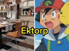 Este é um Pokémon ou um produto IKEA?