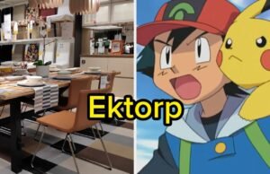 Este é um Pokémon ou um produto IKEA?
