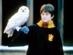 Cosm revela data de lançamento de ‘Harry Potter’ e trailer de “Realidade Compartilhada”