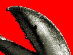 O boom do OpenClaw na China é uma corrida do ouro para empresas de IA