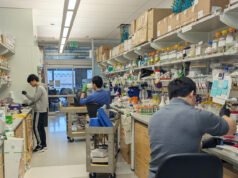 Do computador ao laboratório e ao mercado: o ganhador do Nobel David Baker consegue US$ 7 milhões para um novo programa de proteínas