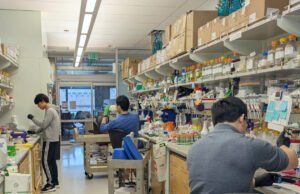 Do computador ao laboratório e ao mercado: o ganhador do Nobel David Baker consegue US$ 7 milhões para um novo programa de proteínas