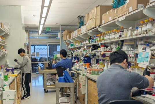 Do computador ao laboratório e ao mercado: o ganhador do Nobel David Baker consegue US$ 7 milhões para um novo programa de proteínas