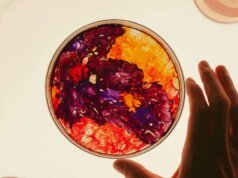 Revisão de ‘Fenômenos’: uma ode iridescente às maravilhas comuns